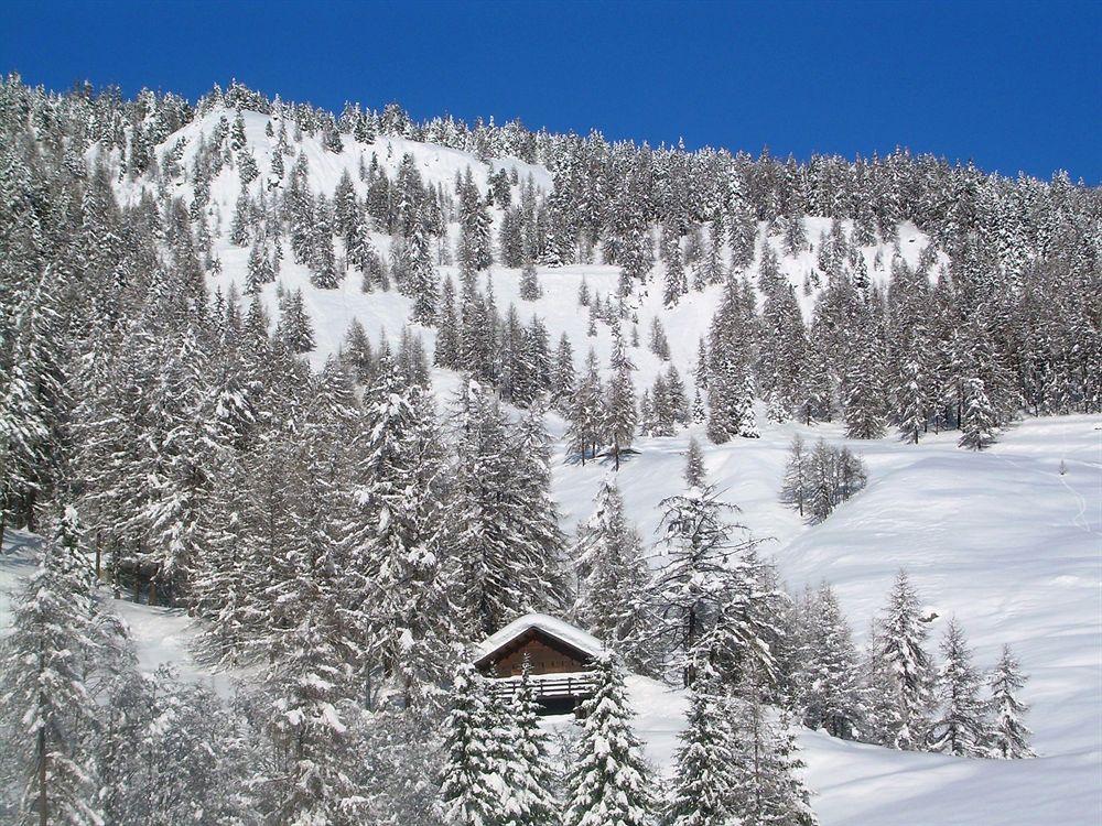Affittacamere Buenavista Guest House Champoluc Exterior foto
